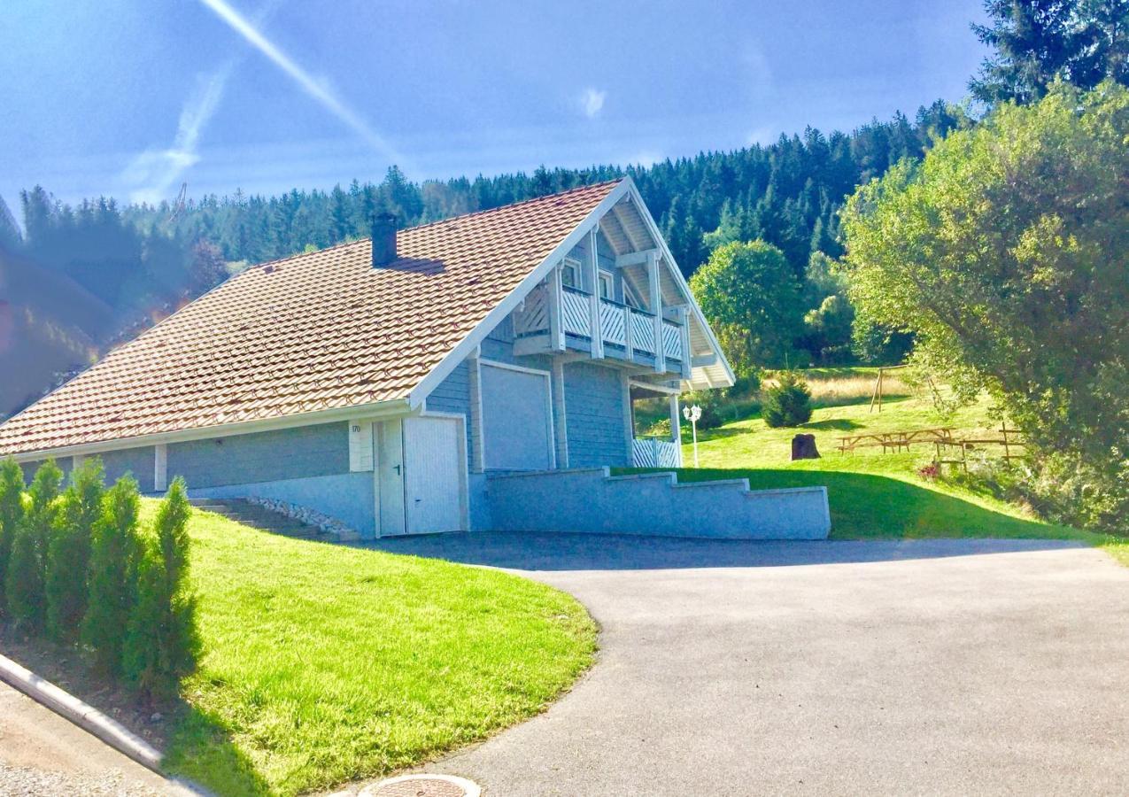 Chalet Le Flocon Bleu - Mauselaine Avec Vue Sur Le Lac De Gérardmer Exterior photo